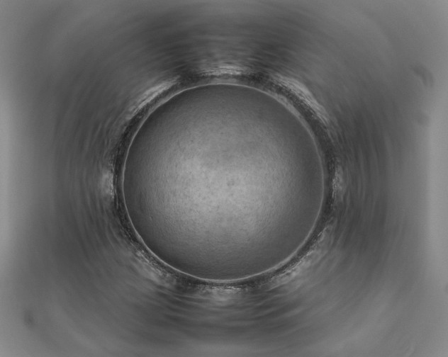 X0000112091209200908041443