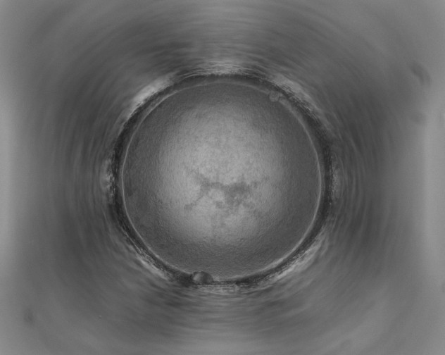 X0000112091210200908041443