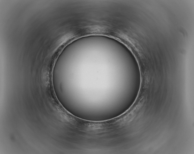 X0000112091211200908041443