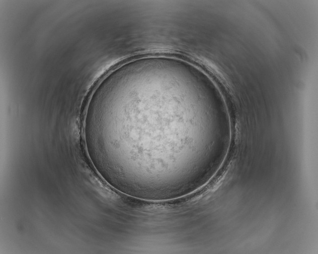 X0000112091212200908041443