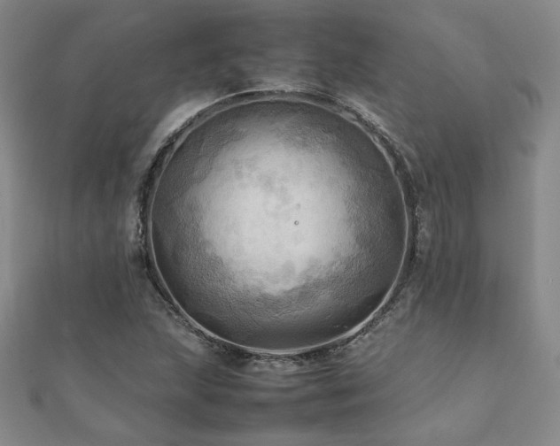 X0000112091215200908041443
