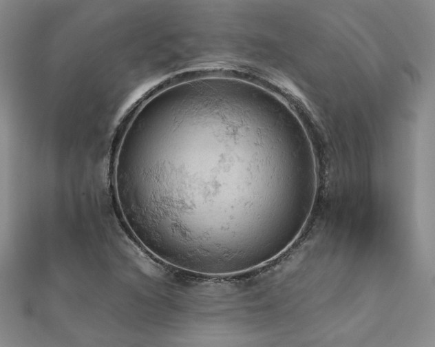 X0000112091216200908041443