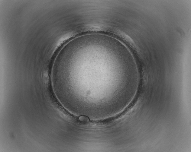 X0000112091218200908041443