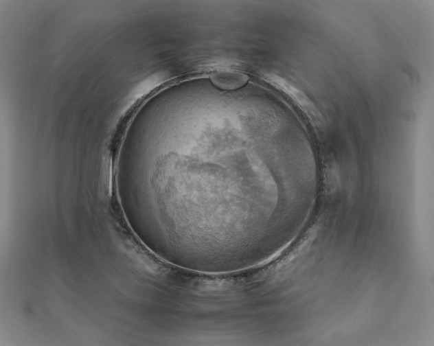 X0000112091219200908041443