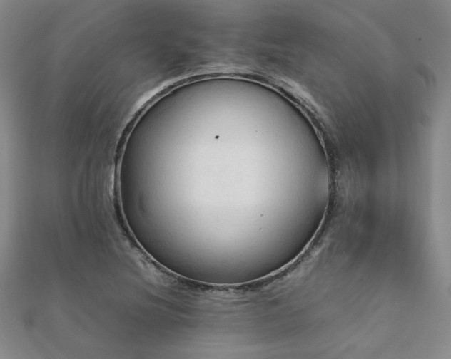 X0000112091220200908041443
