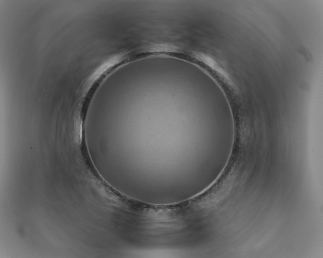 X0000112091221200908041443