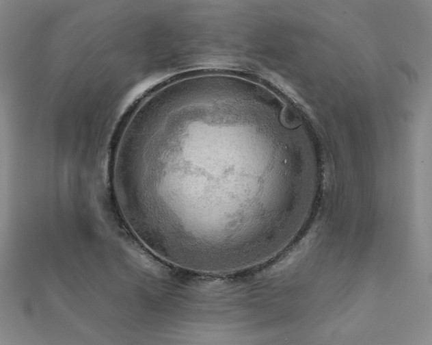 X0000112091222200908041443