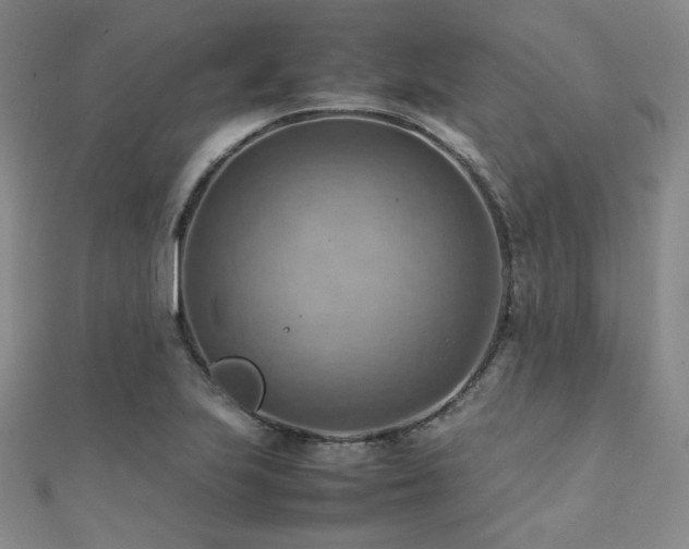 X0000112091223200908041443