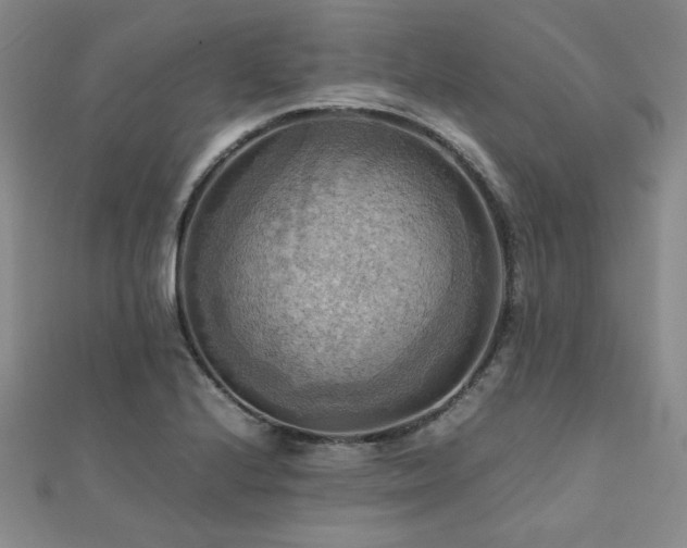 X0000112091224200908041443