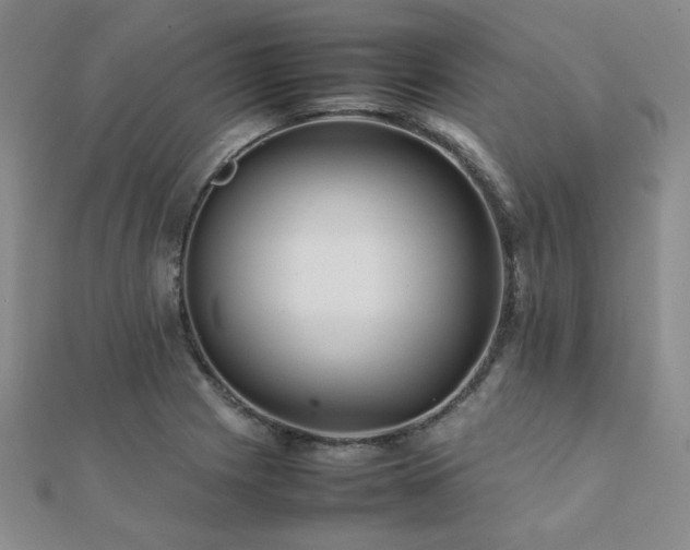 X0000112091225200908041443