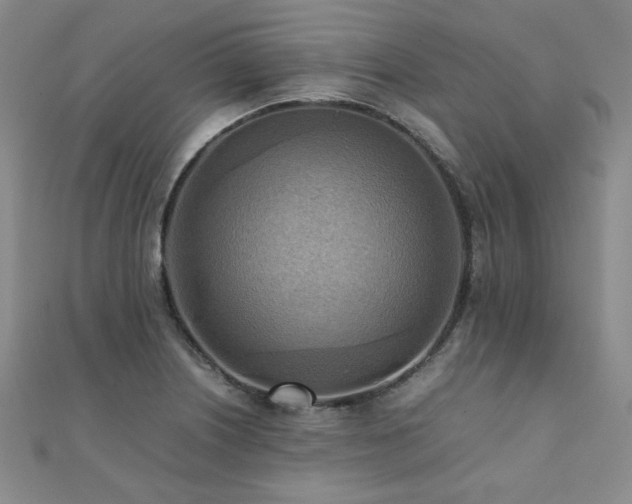 X0000112091226200908041443