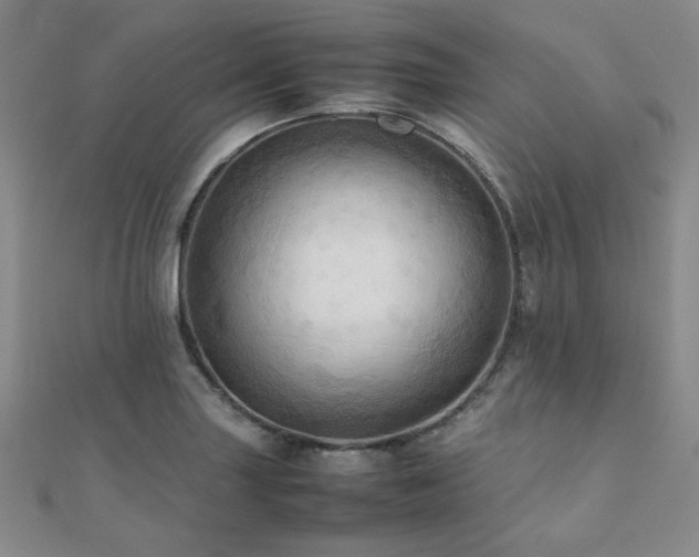 X0000112091227200908041443