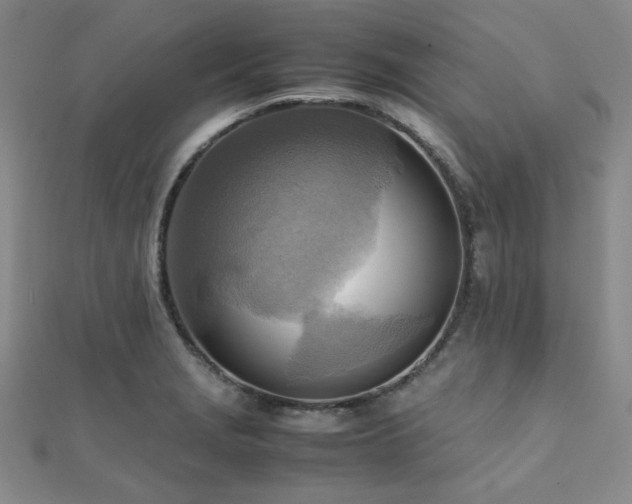 X0000112091229200908041443