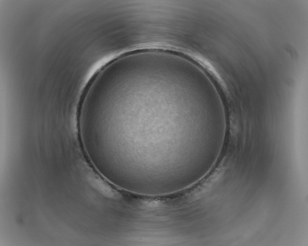 X0000112091230200908041443