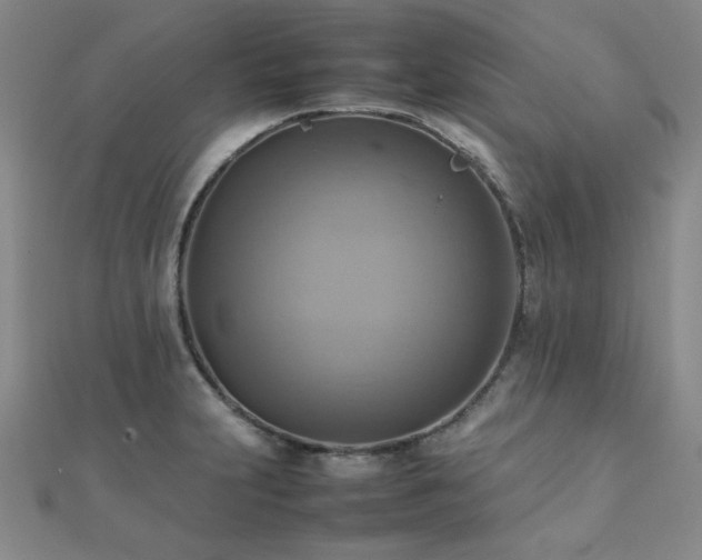 X0000112091231200908041443