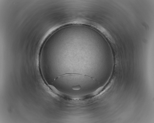 X0000112091232200908041443