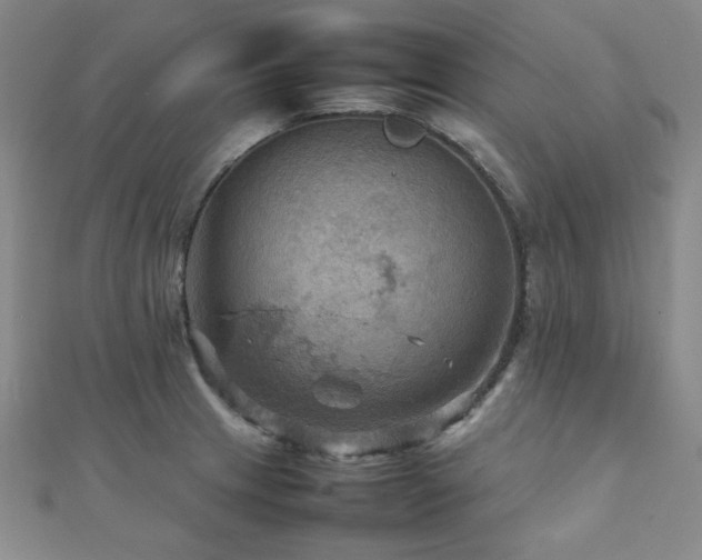 X0000112091233200908041443