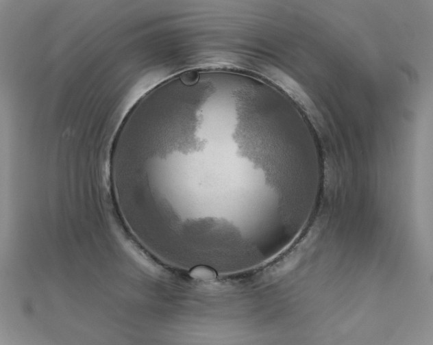 X0000112091234200908041443