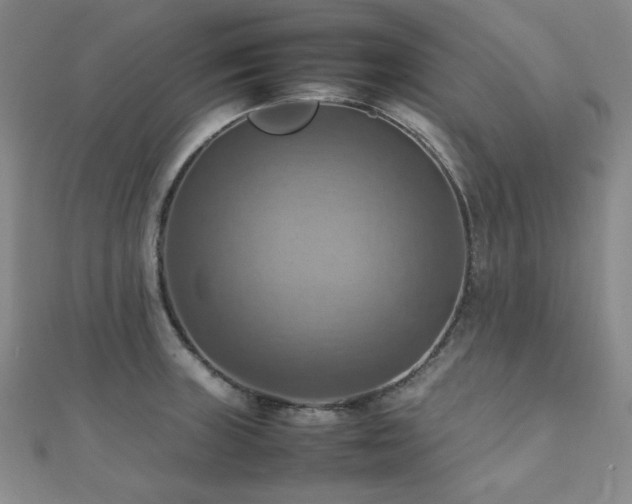 X0000112091235200908041443