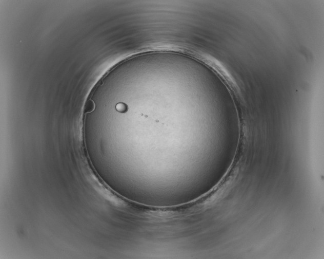 X0000112091236200908041443