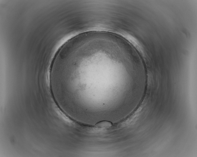 X0000112091238200908041443