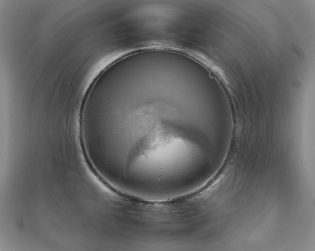 X0000112091239200908041443