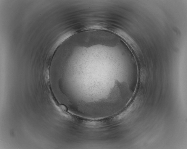 X0000112091241200908041443