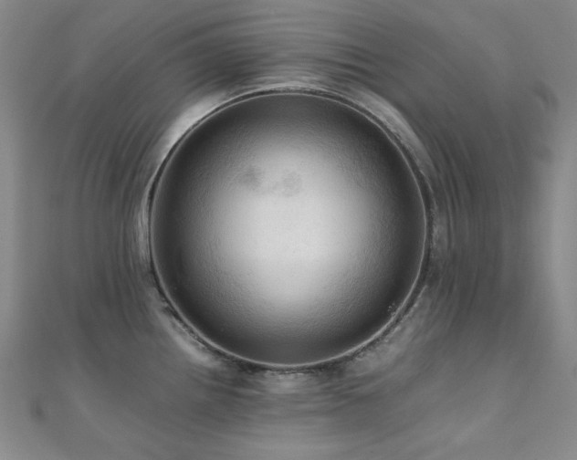 X0000112091242200908041444