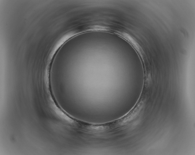 X0000112091243200908041444