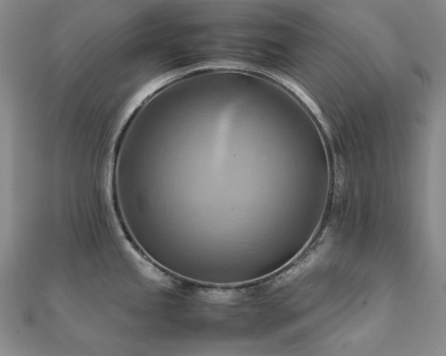 X0000112091245200908041444