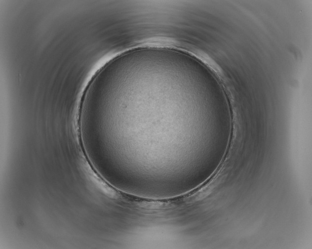 X0000112091248200908041444