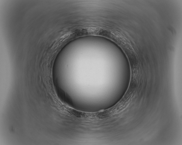 X0000112091249200908041443