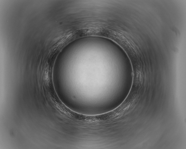 X0000112091250200908041443
