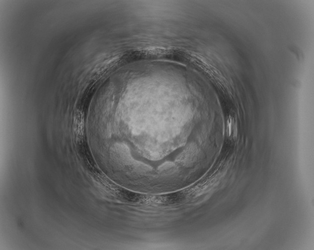 X0000112091251200908041443