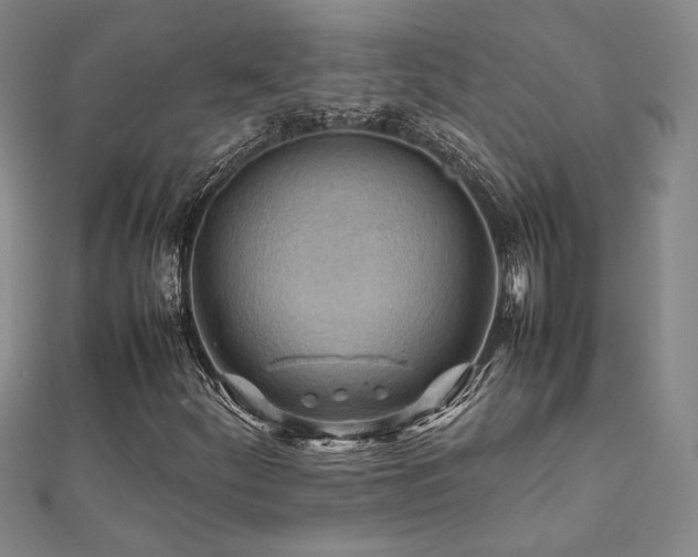 X0000112091252200908041443