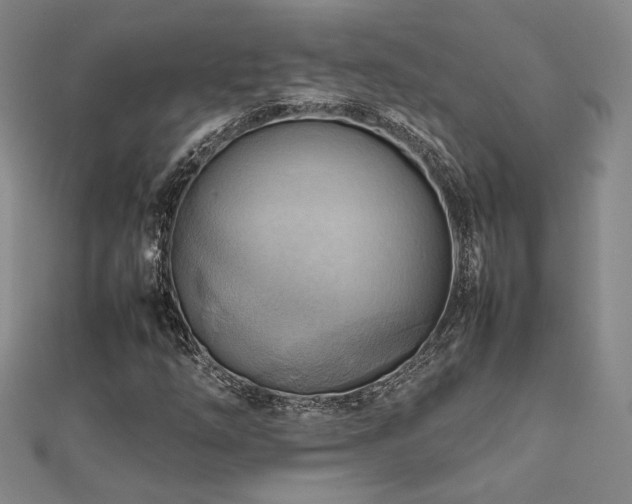 X0000112091254200908041443