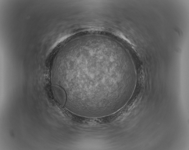 X0000112091255200908041443