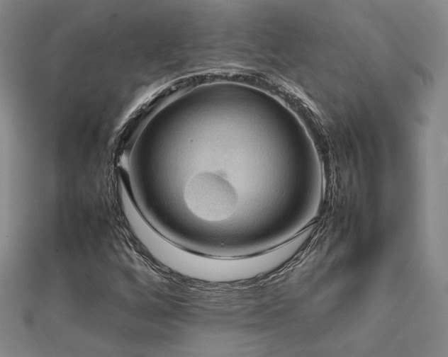 X0000112091256200908041443
