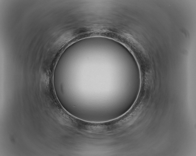 X0000112091257200908041443