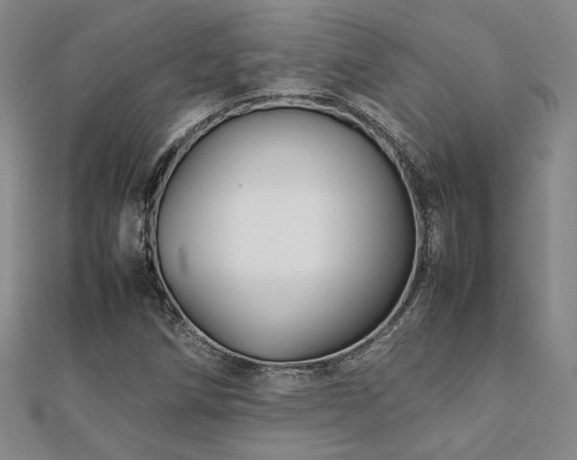 X0000112091258200908041443