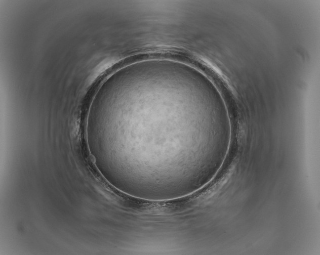 X0000112091259200908041443
