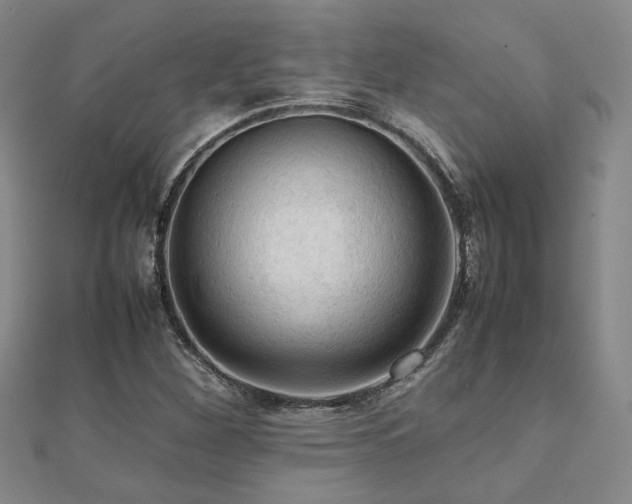 X0000112091260200908041443