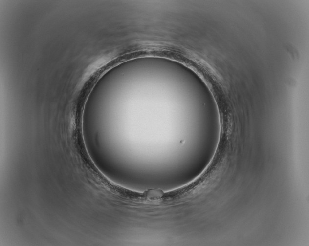 X0000112091261200908041443