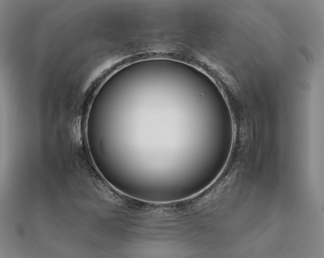 X0000112091262200908041443