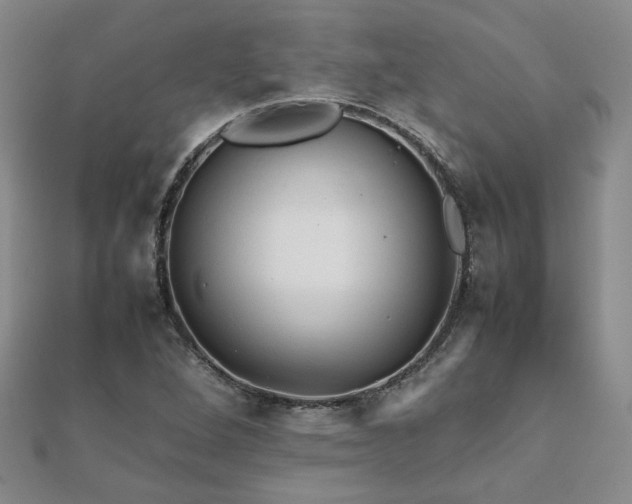 X0000112091264200908041443
