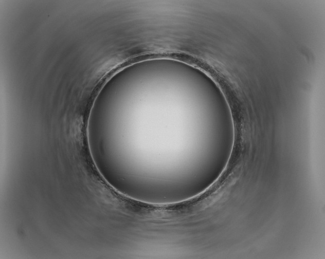 X0000112091265200908041443