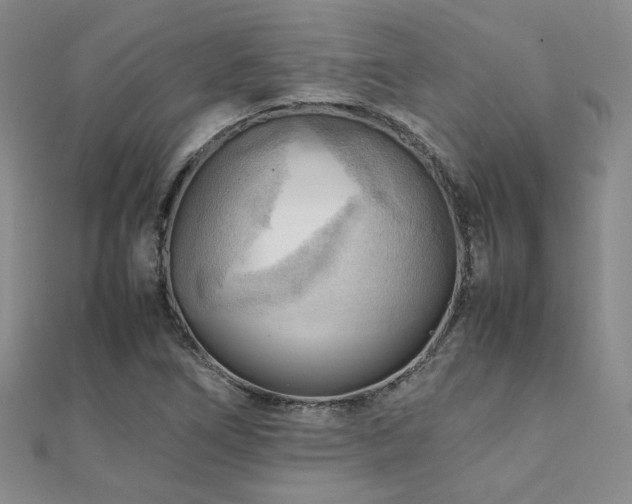 X0000112091266200908041443