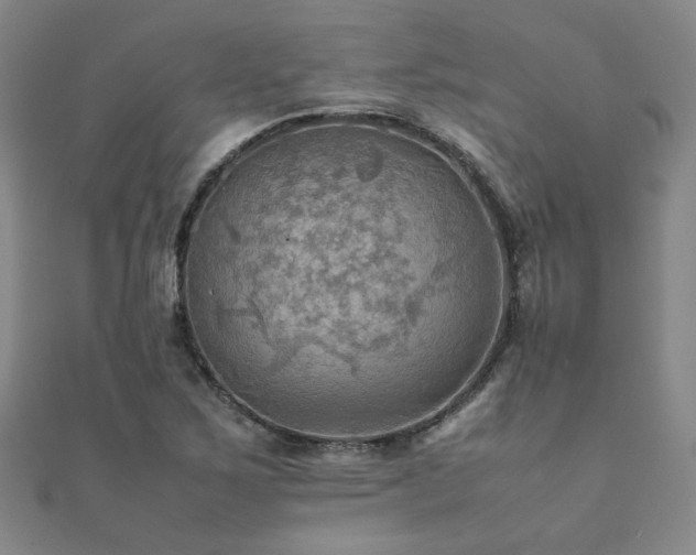 X0000112091267200908041443