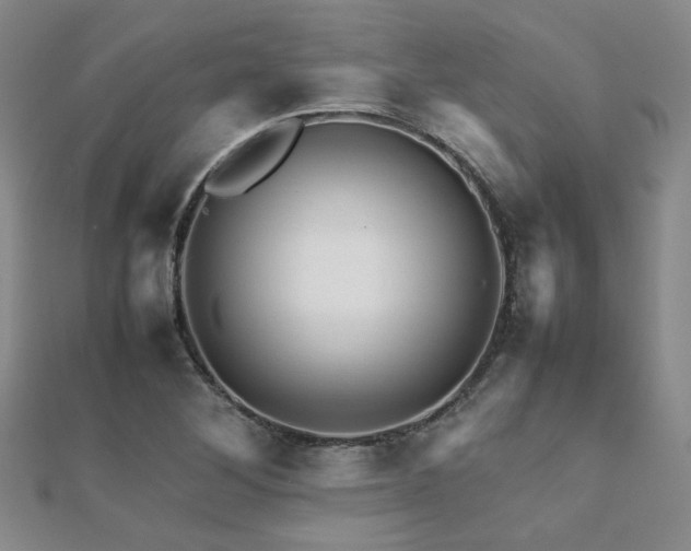 X0000112091268200908041443