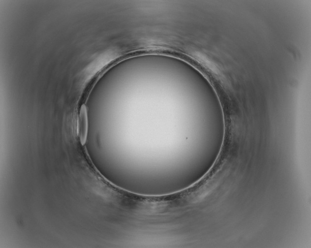 X0000112091269200908041443